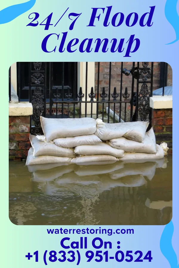 24/7 Flood Cleanup in Wakulla, NC