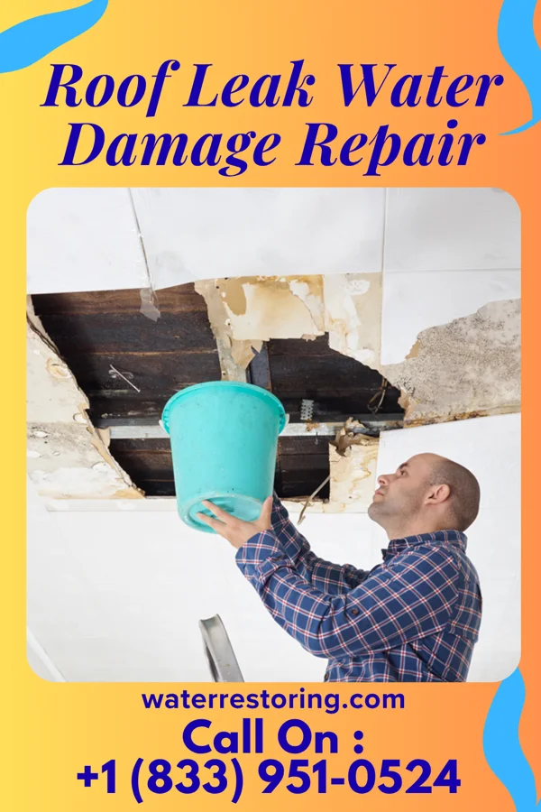 Roof Leak Water Damage Repair in Wakulla, NC
