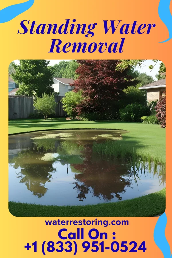 Standing Water Removal in Wakulla, NC